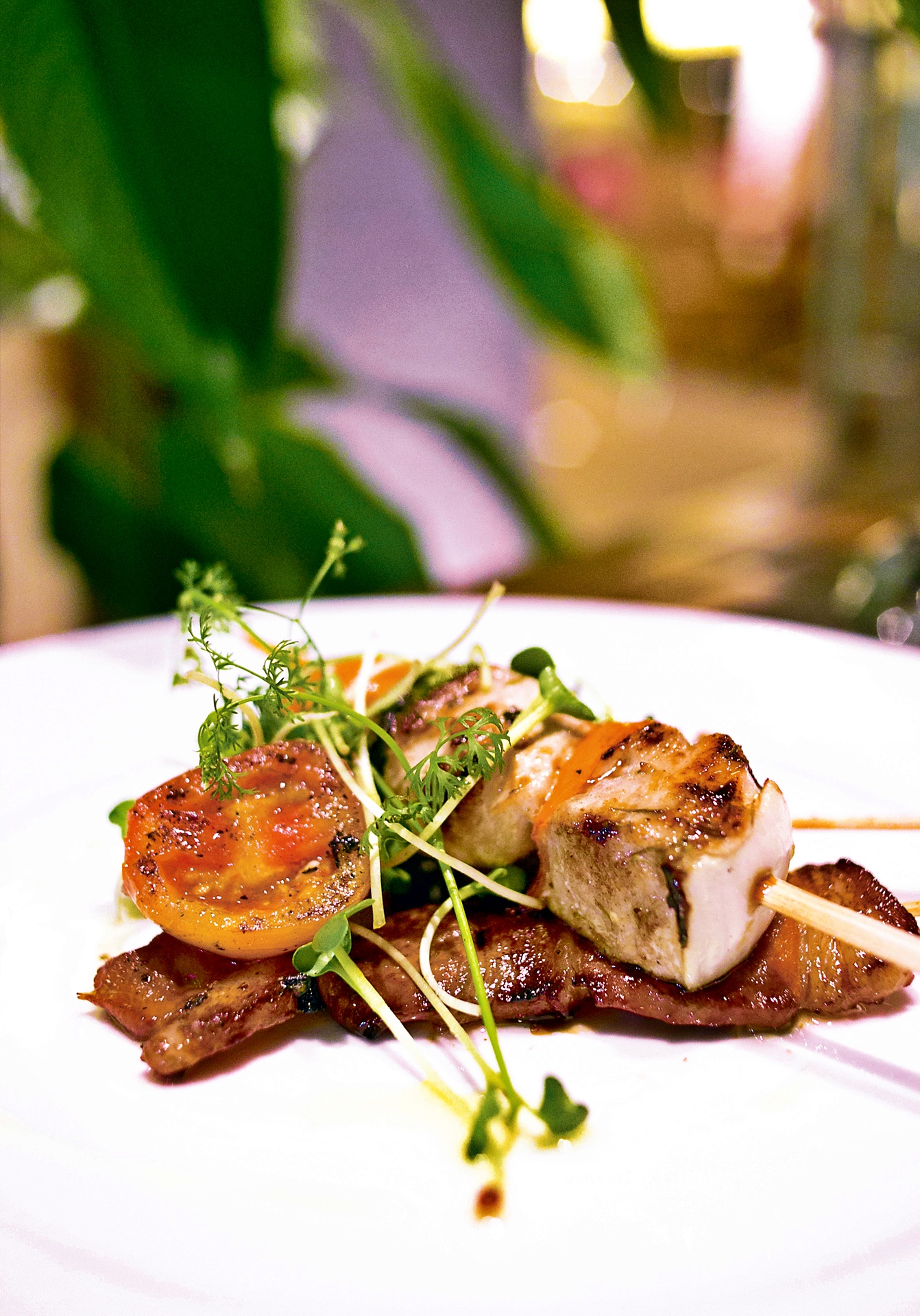 Princesa%20Garden%207