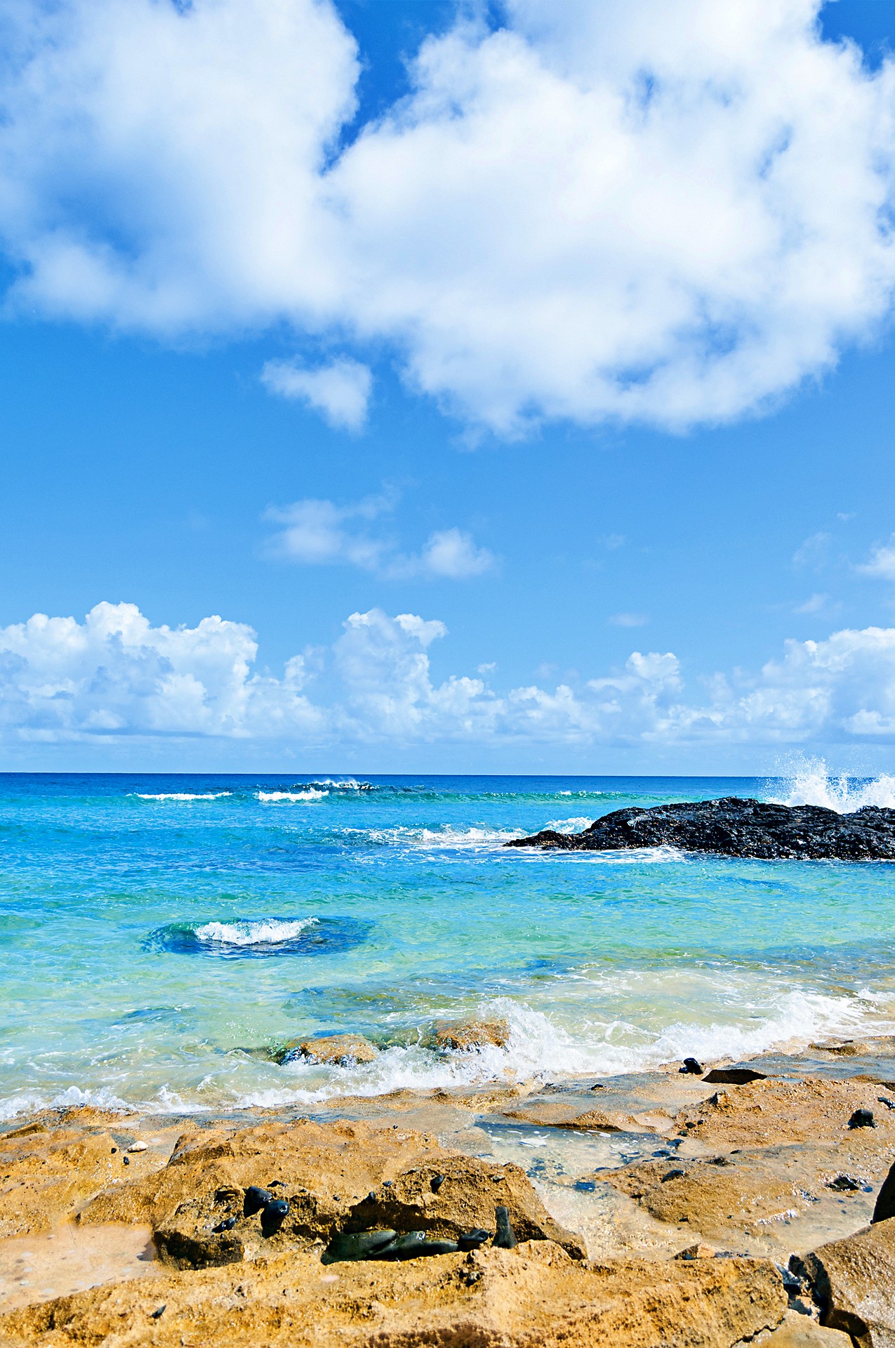 calaguas%20cover%205