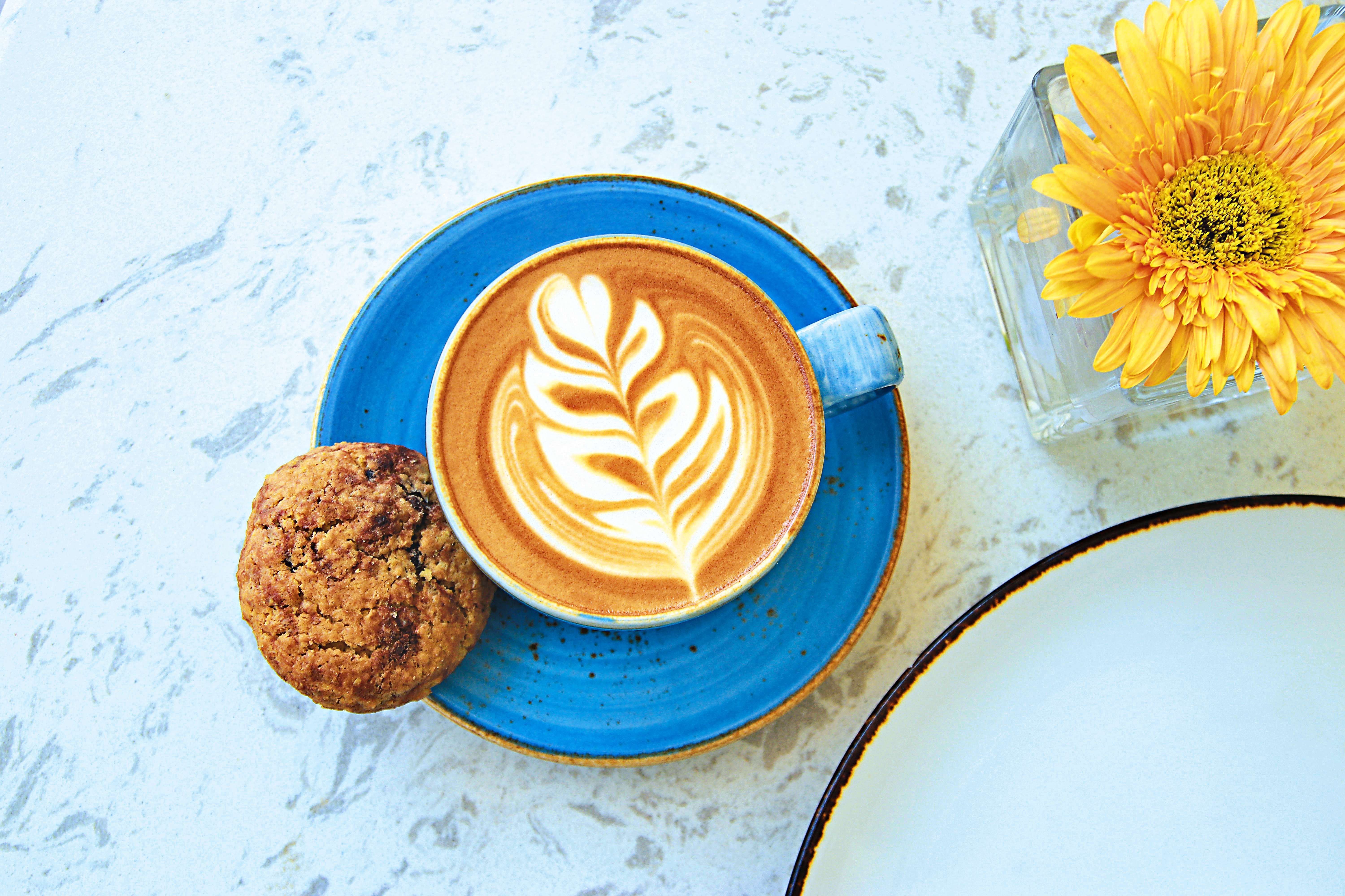 placeholder image-sq