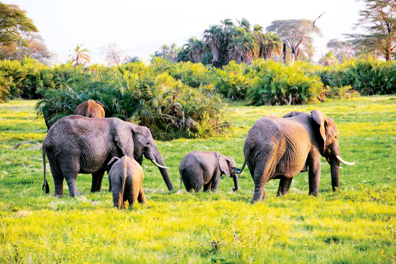 asianTravelerMagazine