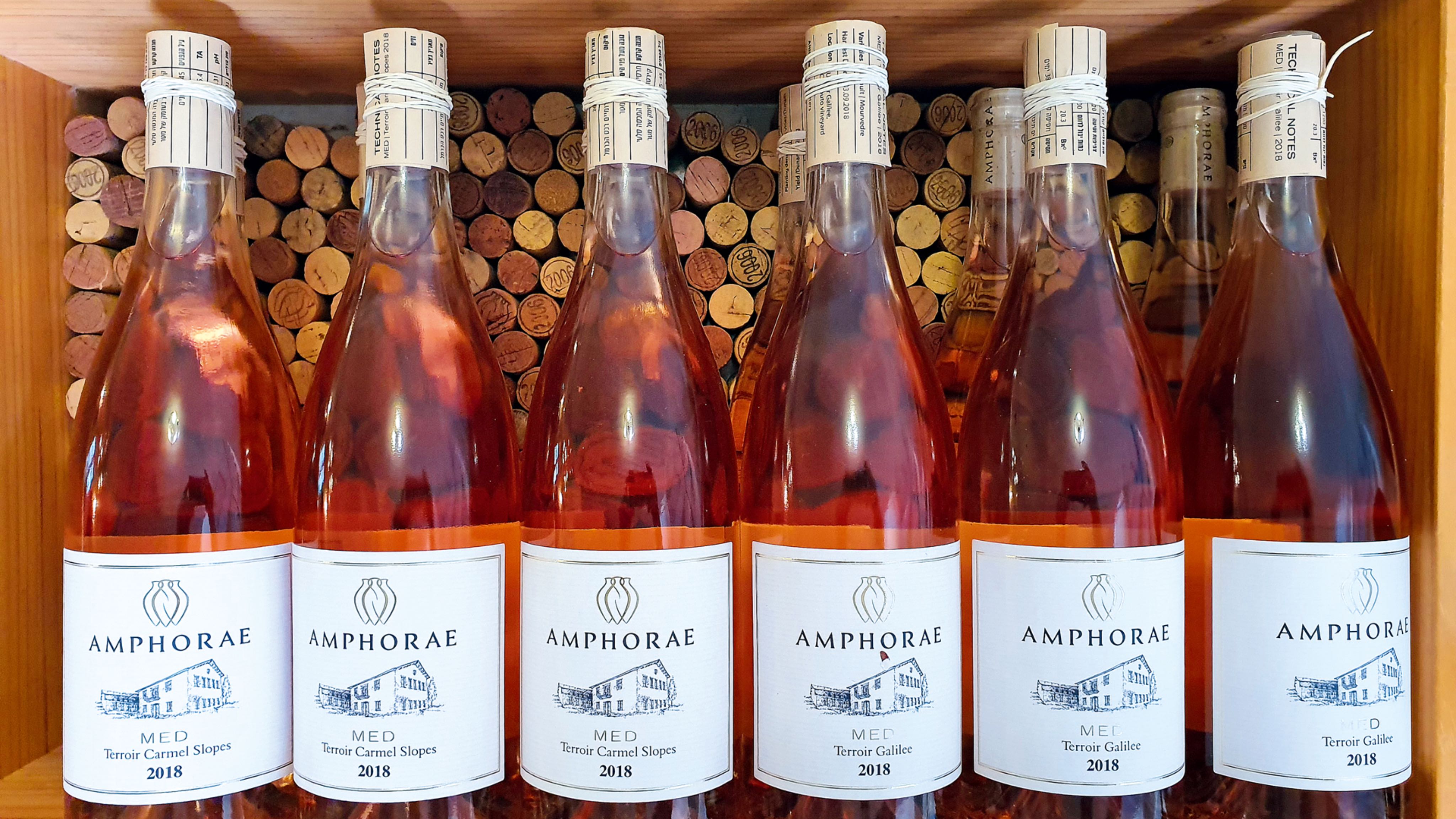 tel%20aviv%2020191123_101458